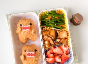 Domo kun bento (1)