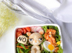 Grumpy Cat Bento (3)