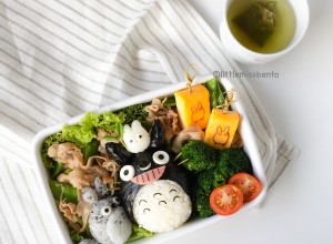 Totoro Bento (5)