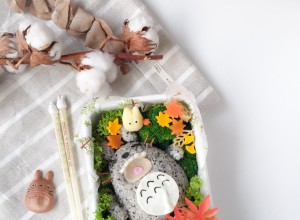 Sleeping Totoro Bento (1)