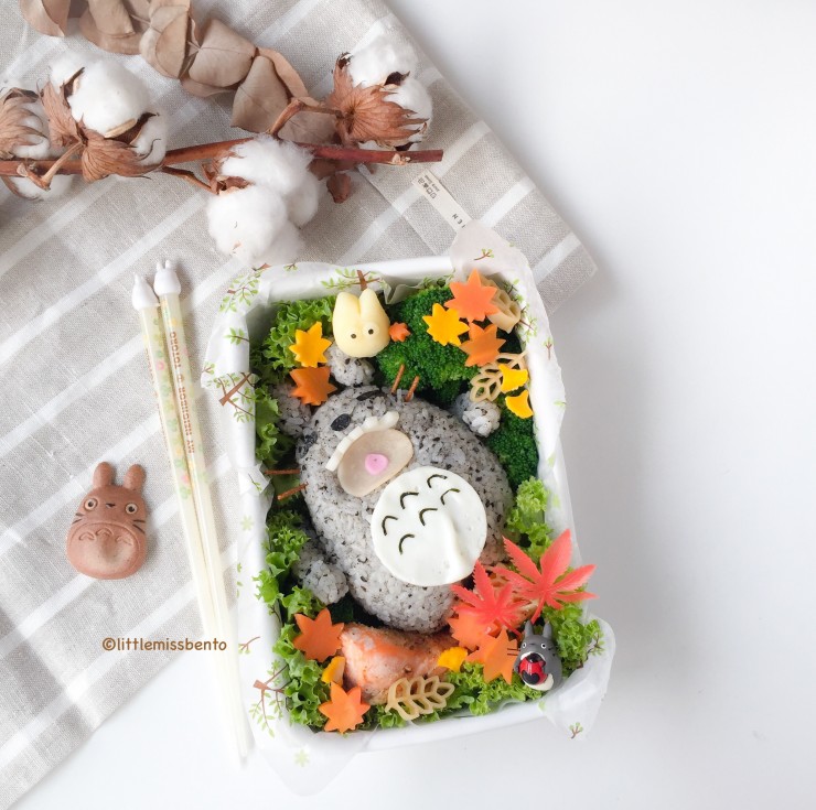 Sleeping Totoro Bento (1)