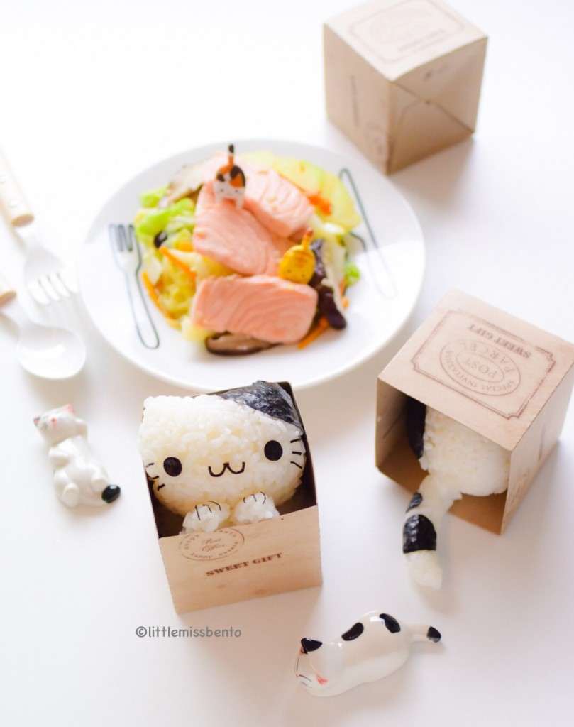 Cat in Box Onigiri kawaii (1)