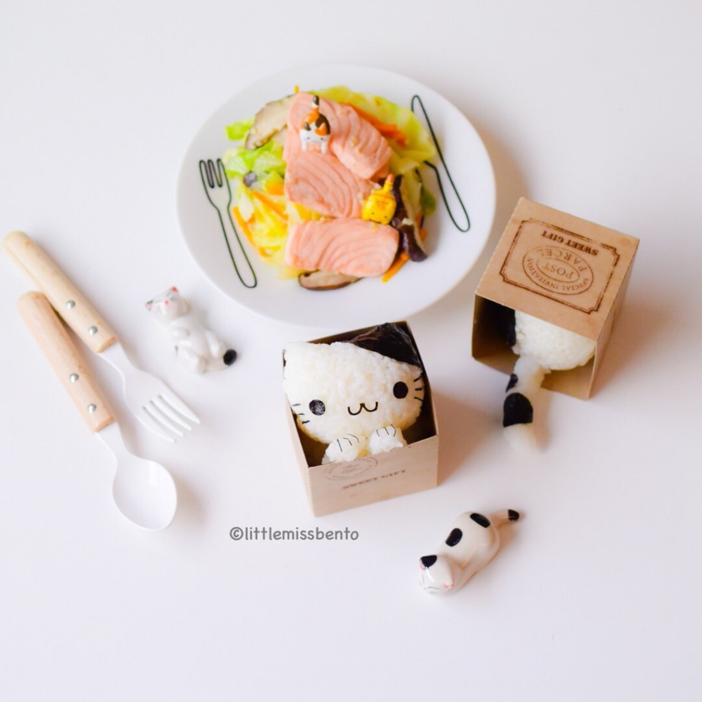 Cat in Box Onigiri kawaii (2)
