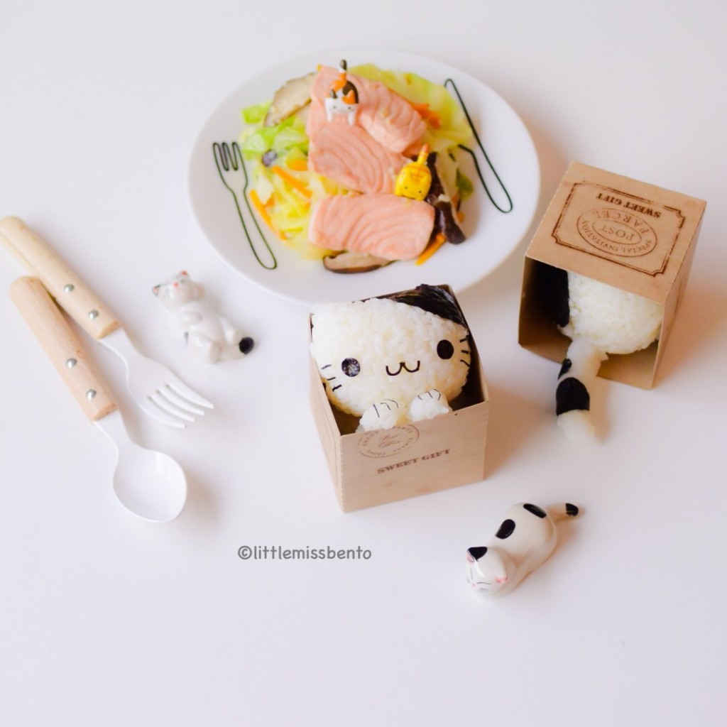 Cat in Box Onigiri kawaii (3)