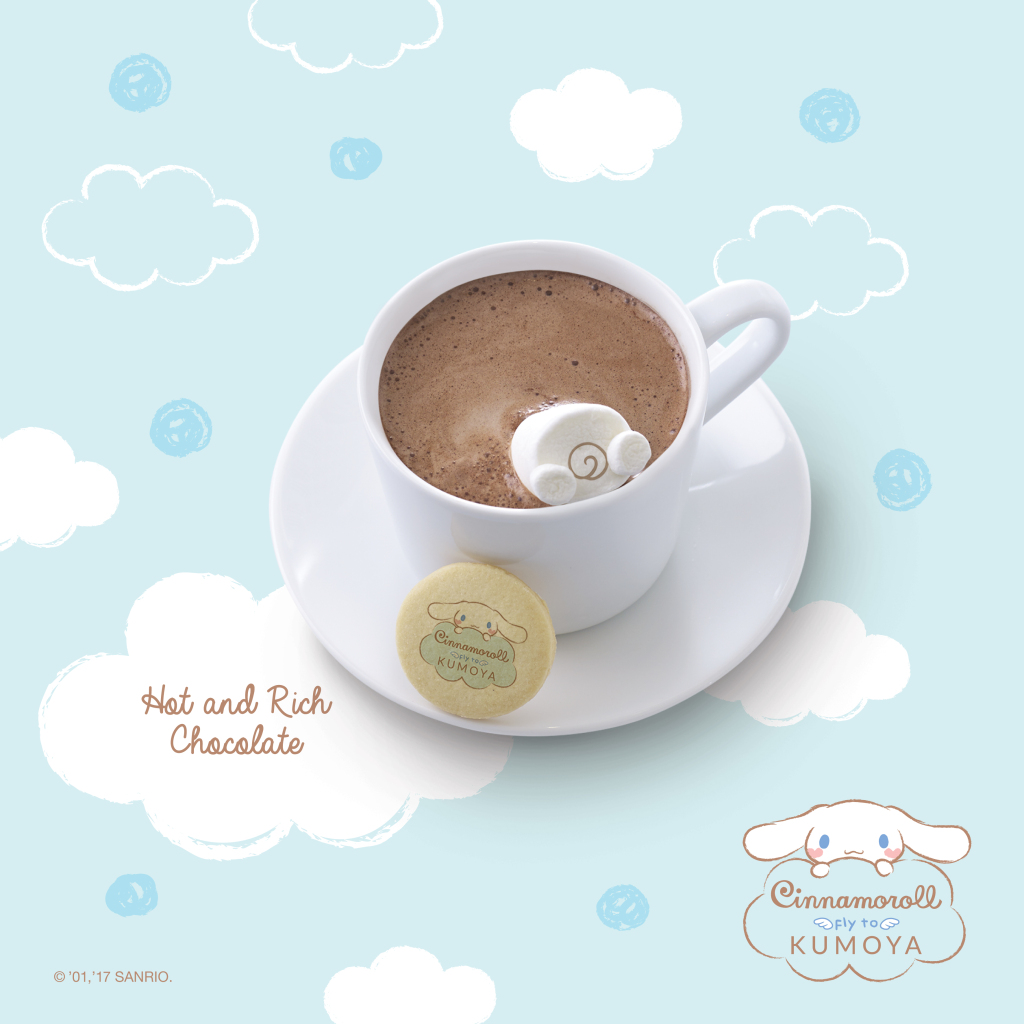 Hot and Rich Chocolate